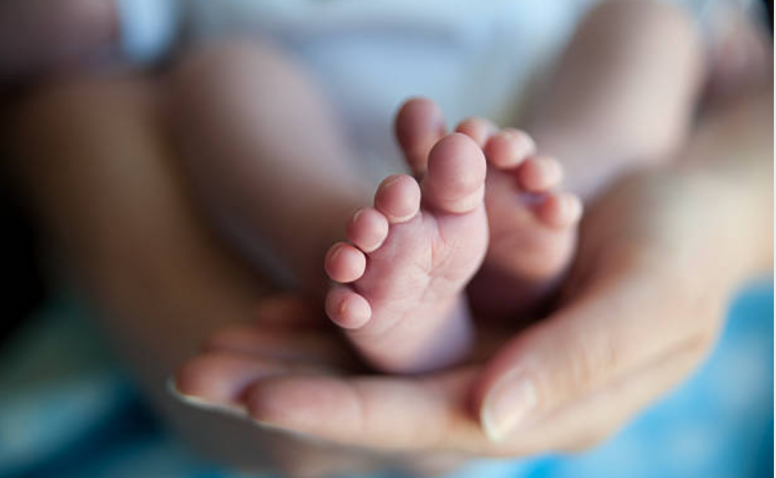 Chez LittleBunz, chaque produit est une promesse
